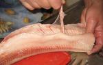 Фаршированная рыба: как правильно снять кожу со щуки