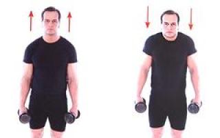 Комплекс упражнений на плечи с гантелями для активного роста дельтовидных мышц